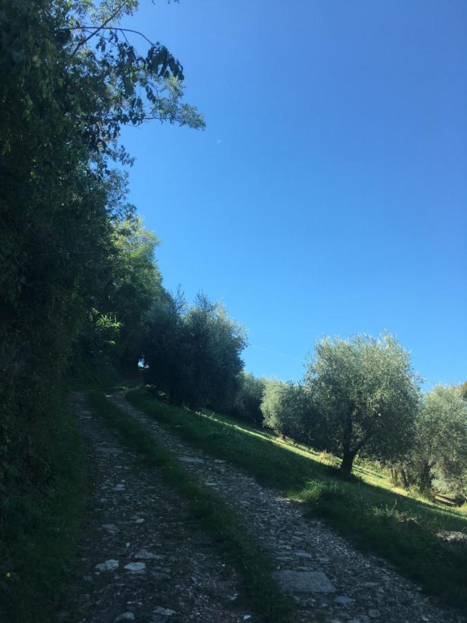 Villa San Regolino Whit Private Pool Radicondoli Bagian luar foto