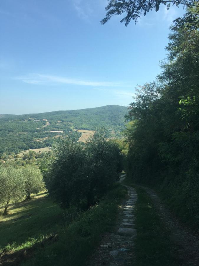 Villa San Regolino Whit Private Pool Radicondoli Bagian luar foto