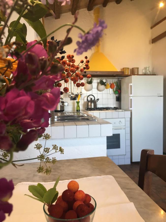 Villa San Regolino Whit Private Pool Radicondoli Bagian luar foto